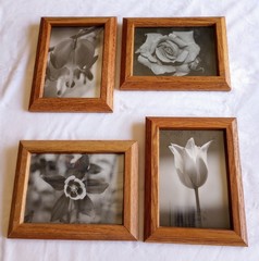 Lot4 Framed Black & White Flower Photos Tulip Rose Bleeding Heart Columbine 6×8″