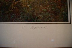 Original Styczynski Signed, Beautiful Woodlands Photo