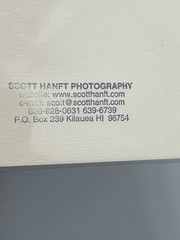 Kilahuea Hawaii Photography Art Photos 2 Scott Hanft Flowers Ocean 11 X 14 2000s