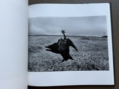 🎈Super RARE! Josef Koudelka – EXILES 1988, First Edition & PRINTING, Excellent