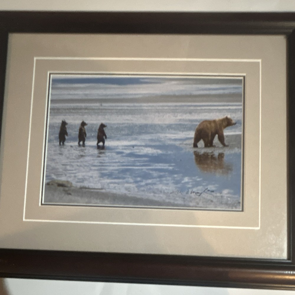 Thomas Mangelsen “Bearwatch” limited edition print
