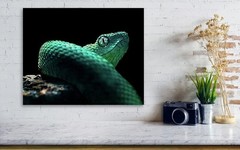West African Bush Viper Reptile Macro Photography Snake Art Print