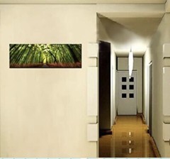 Bamboo Forest, Zen, Fine Art Photo, Home or Office Decor, Bamboo