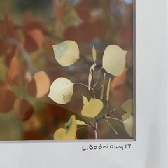 Set of 3 – Fall Colors in Leadville, Colorado Photography Print – Signed Matted