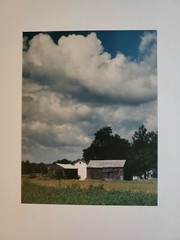 BUFFALO LANDSCAPE LG ORIGINAL SIGNED ART PHOTO B&W STETTNER VTG MATTE NJ CAMERA