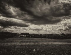LANDSCAPE. 8.5×11 or 13X19 COLOR OR B&W, BORDERLESS **FREE SHIPPING**