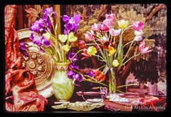 Autochrome Photo, Still life with Flowers, 1900s