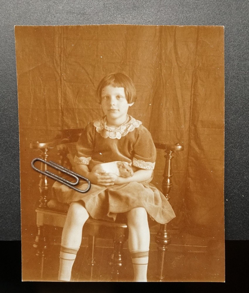 Photo Portrait Child Furniture Pet Guinea Pig Girl Rodent Chair Hairstyle Model