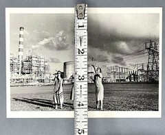 Dona Ann McAdams Fotofolio Art Photo Print Card – They’re Juggling Our Genes