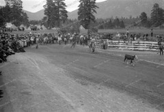 Negative-Rodeo-Festival-Colorado-Mountain-USA-United States of America-1930s-12