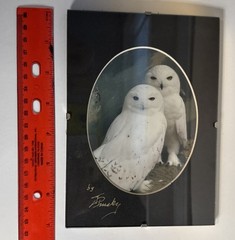 Vintage Artist Signed Snow Owl Portrait Framed 5×7”