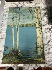 Helmscene Partial Pictures (3pcs) for Craft or Your own Lighted picture Frame
