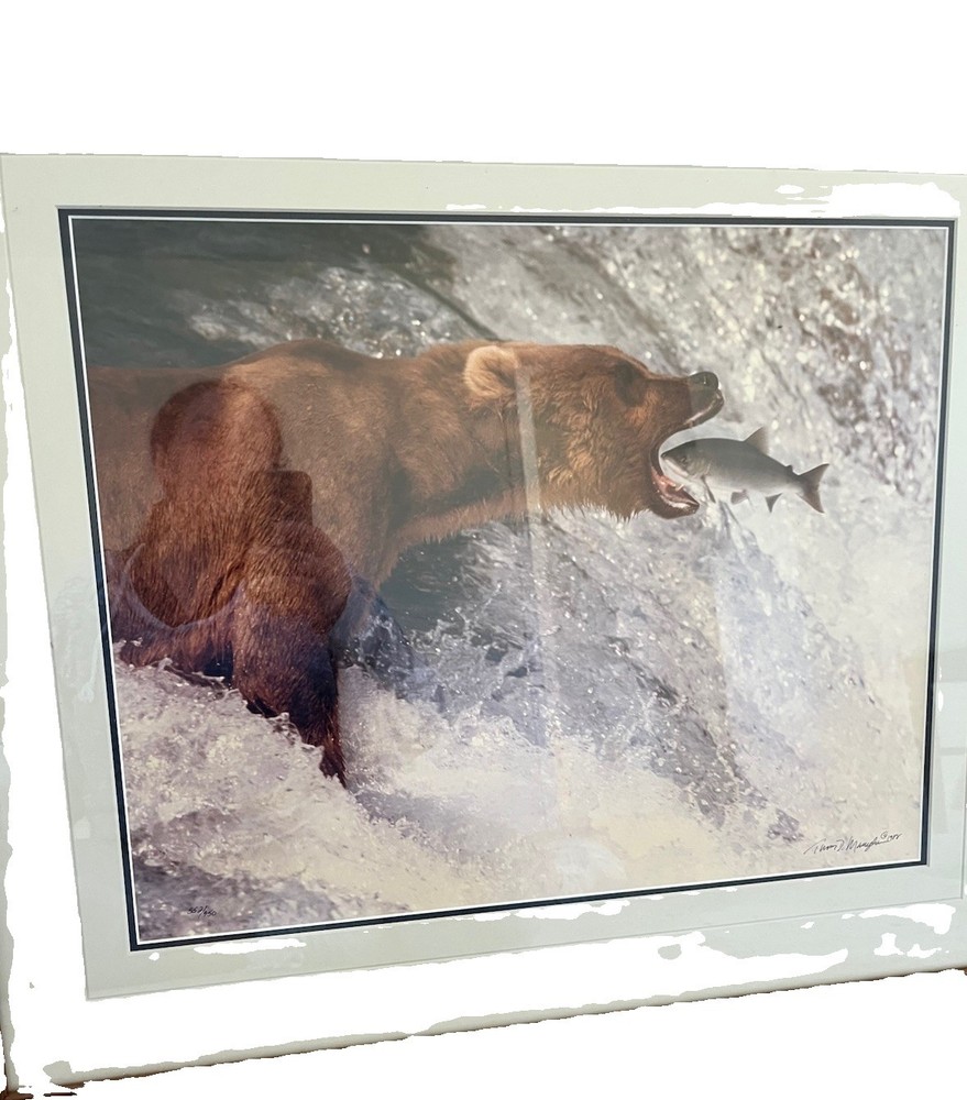 Bear Catching Fish Color Wildlife Photography Print on Paper, Landscape