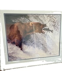 Bear Catching Fish Color Wildlife Photography Print on Paper, Landscape