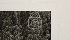 1990’s John Sexton Signed Photograph. Rice Field & Pine Forest. Tohoku, Japan