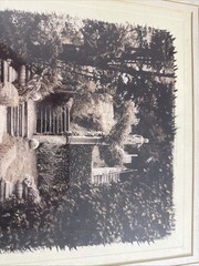 Alan Blaustein Signed – “Orto Botanico, Siena, Italia”