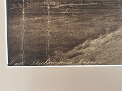 Lehnert and Landrock Antique Photo «Egypt, Shepard Driving Homeward» w/ Matt