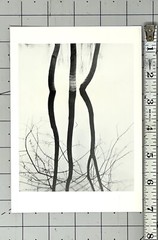 Koichiro Kurita (b. 1943) Art Announcement Card 1991 – Recent Landscapes