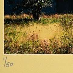 MICHAEL RAY Original Vintage Signed Long Island Landscape Barn Photograph Print