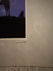 2 Jim Stamates Wildlife Photo Prints Moose Bears Nature