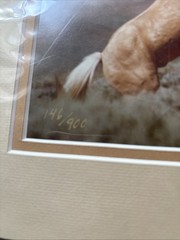 Kelsey Cain Photograph “Fighting Stallions” #146