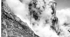 Yosemite National Park Photograph in a Beautiful black modern frame