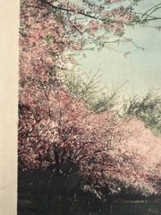 Antique Wallace Nutting Hand Colored Photo set c:1920 + Cherry Blossoms DC pic