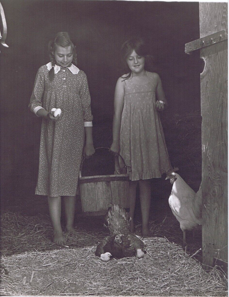 Hendrickson Orig Photo B&W Happy Farm Sisters Barn Chickens Chicks Bucket 10×13