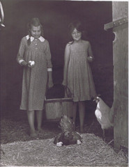 Hendrickson Orig Photo B&W Happy Farm Sisters Barn Chickens Chicks Bucket 10×13