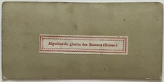 Glacier Des Bossons Chamonix Mont Blanc C1858 Photo Stereo GR Vintage Album