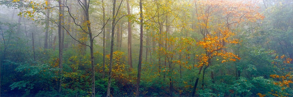Signed fine art film print of the Great Smoky Mountains, 8″x24″ on luster paper