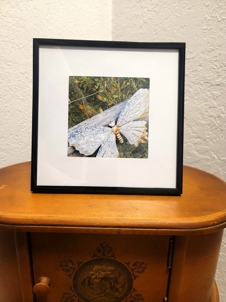 Original Photo Matted in an 8 x 8 Inch Frame – Rustic Scene of Metal Butterfly