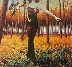 Original DAVID LaCHAPELLE ‘Neve Campbell w BUTTERFLY’ Photo for DETOUR Magazine