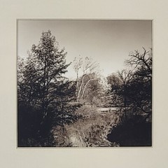 Steven Michael Bogdonas | Morton Arboretum (2001) Original Hand-Printed Photo