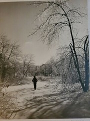 AMID WINTER’S MAGIC ORIGINAL SIGNED ART PHOTO B&W STETTNER VTG MATTE NJ CAMERA