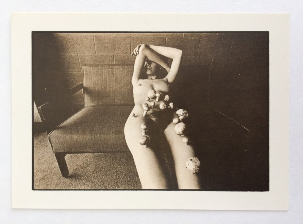 Artist Postcard LES KRIMS Kodalite Image Series Gallery The Bridge 1976