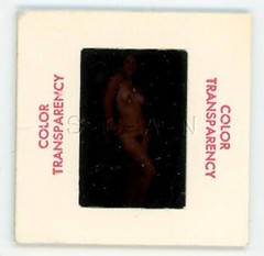 Org Camera Club Nude 60s 35mm Slide Negative- Super Endowed Woman- Long Hair #22