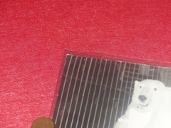 [CIRCUS] Large Vintage Photo / The Wise Bears Circa 1970 40 X 30 cm
