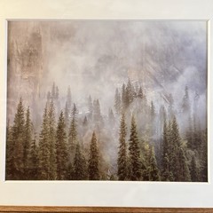 Rodney Lough The Little Rock That Could Yosemite Framed Fine Art Photograph MINT