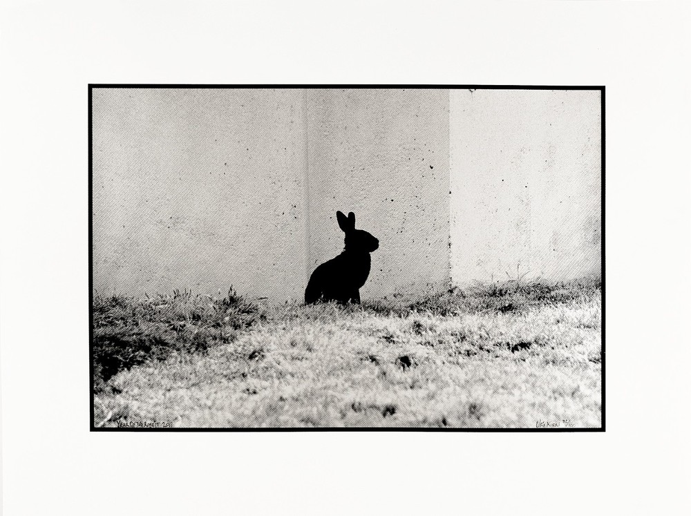 Uri Korn Vintage 2011 Year Of The Rabbit Photo-Silkscreen 17×22 Signed Stamped