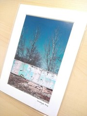 Matted Photo Print industrial decay Minimal Tree Modern Photography Decor
