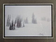 Signed David Whitten Limited Edition 35mm Photograph Print 17.5×14.75 Framed Art