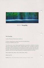 Peter Lik – Tranquility  #509/950 –  Silver Frame 1.5 Meter w/COA Mossbrae Falls