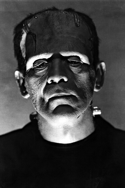 New Photo: Screen Legend Boris Karloff in The Bride of Frankenstein – 6 Sizes!