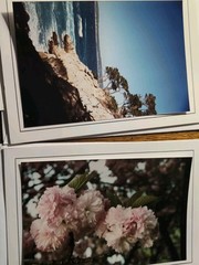 7 Exclusive Paul Mink Reel Life Photos Signed + Providence / Greeting Cards
