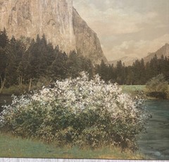 Antique ‘Gates of YOSEMITE El Capitan’ Hand Colored MAMMOTH ALBUMEN Photograph