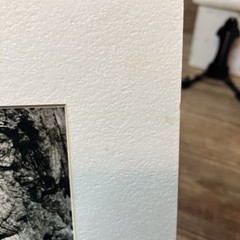 VTG Original Artwork Photography Modernist Black White Tree Bark Signed Soprano