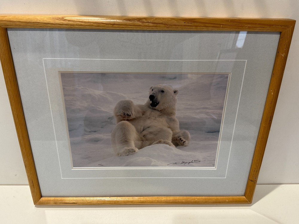 Thomas D. Mangelsen Polar Bear Limited Edition, 445/950, Signed & Framed