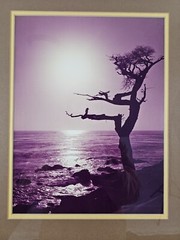 ART – VTG Original Signed Karl Bonfert 35mm Photograph CA 21.25×17.25 Framed Art
