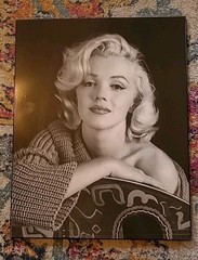 Marilyn Monroe 2012 photography By Joshua Green On Board